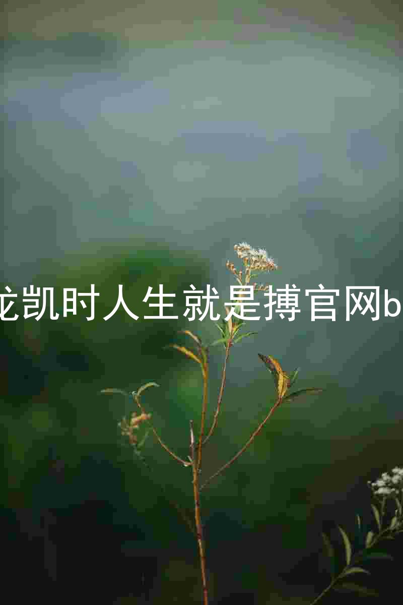 尊龙凯时人生就是搏官网bjl8