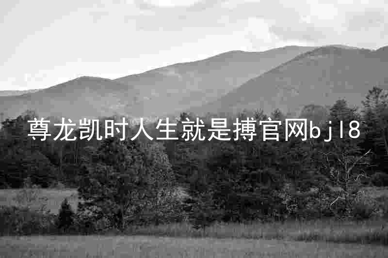 尊龙凯时人生就是搏官网bjl8