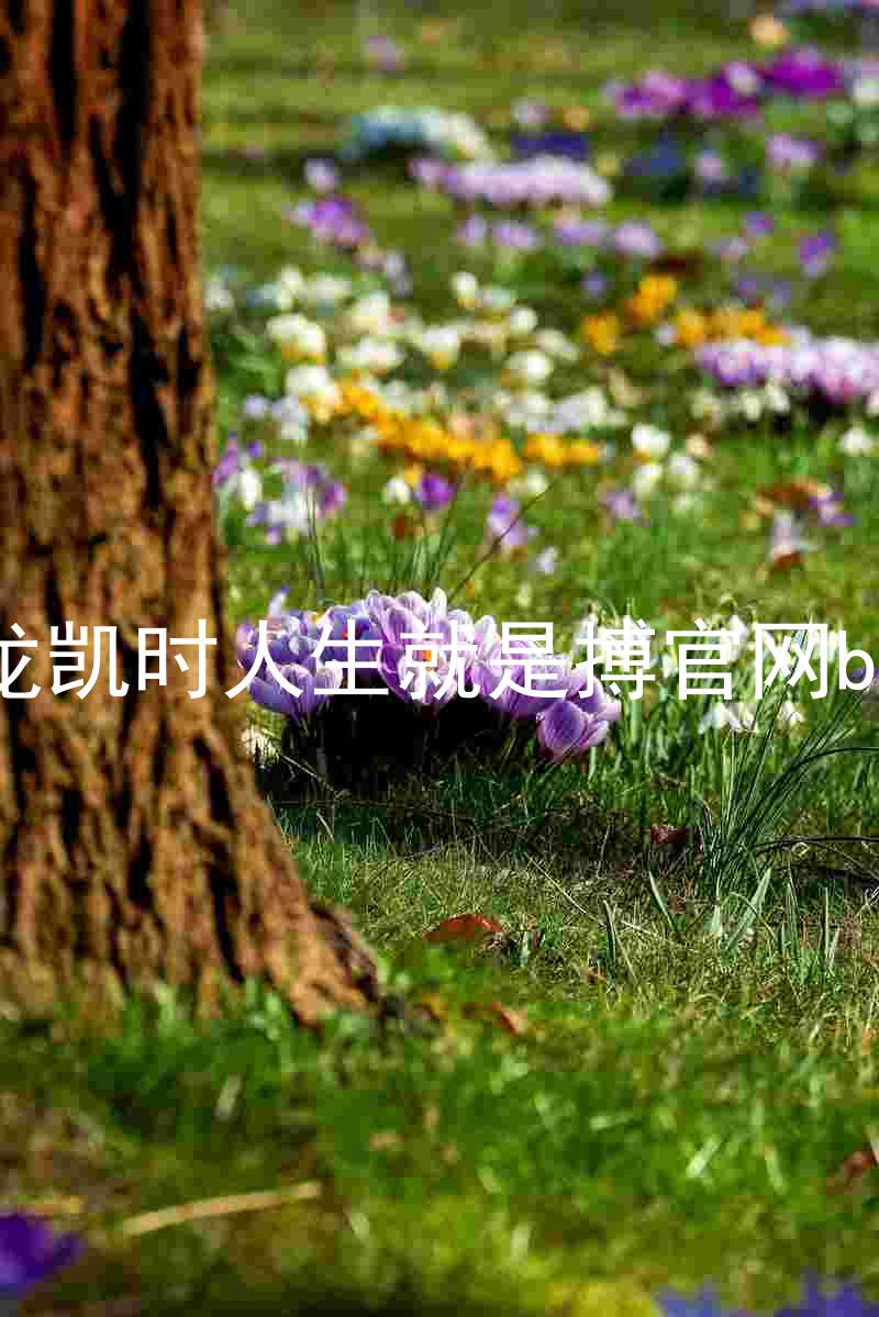 尊龙凯时人生就是搏官网bjl8