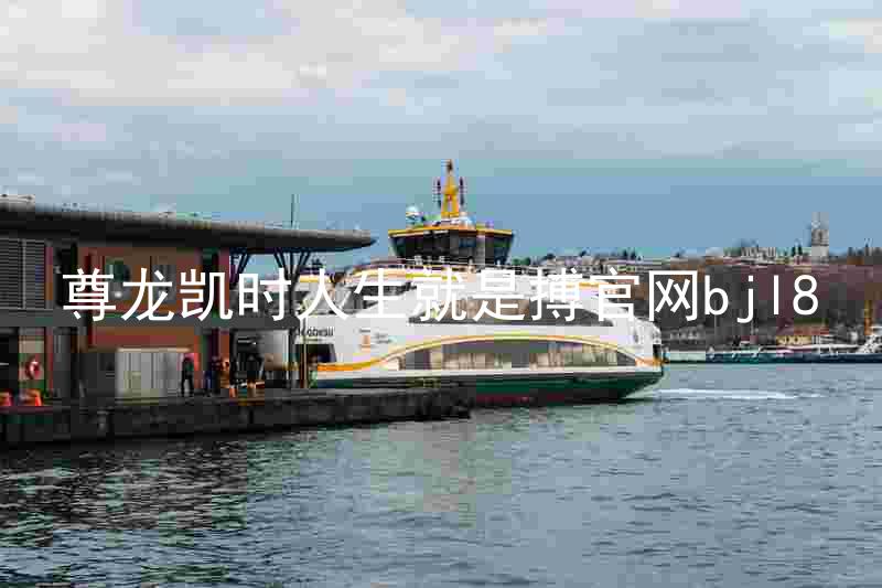 尊龙凯时人生就是搏官网bjl8