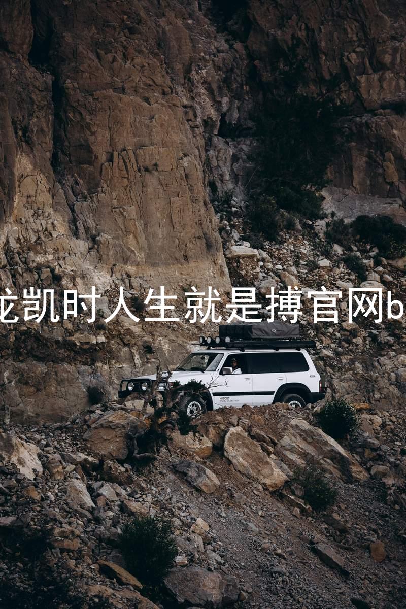 尊龙凯时人生就是搏官网bjl8
