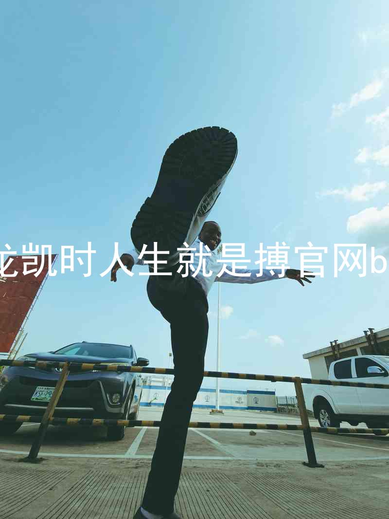 尊龙凯时人生就是搏官网bjl8