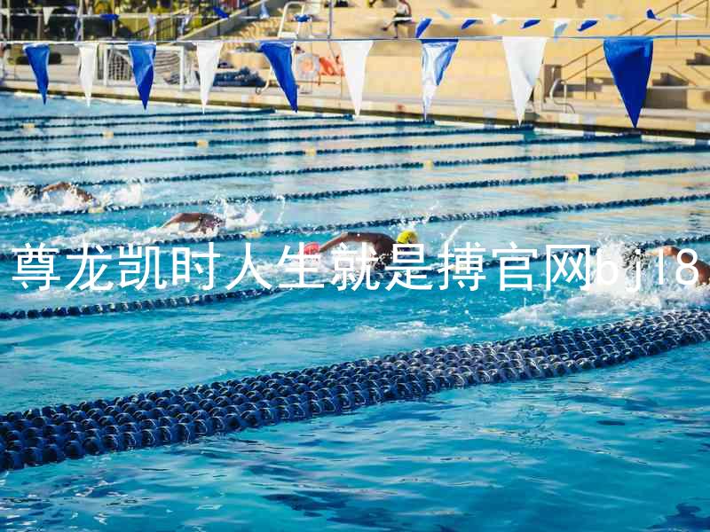 尊龙凯时人生就是搏官网bjl8